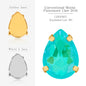 Metal Base Garment Decoration Glass Sew on Crystal Claw Rhinestone for Clothes Weeding Making Accessories